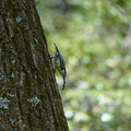 DSC02387.JPG