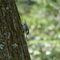 DSC02388.JPG