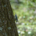 DSC02390.JPG