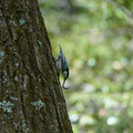 DSC02391.JPG