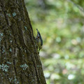 DSC02392.JPG