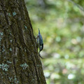 DSC02393.JPG