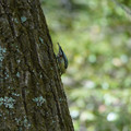 DSC02394.JPG