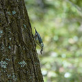 DSC02395.JPG