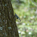 DSC02396.JPG