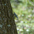 DSC02397.JPG