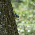 DSC02398.JPG