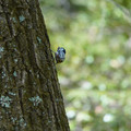 DSC02399.JPG