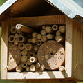 DSC02400.JPG