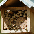 DSC02401.JPG