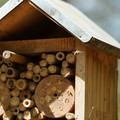DSC02412.JPG