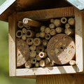 DSC02424.JPG