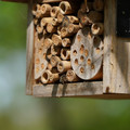 DSC02433.JPG