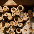 DSC02456.JPG