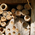 DSC02458.JPG