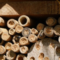 DSC02461.JPG