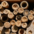 DSC02467.JPG