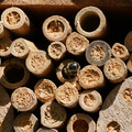 DSC02469.JPG