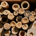 DSC02470.JPG