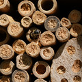 DSC02473.JPG