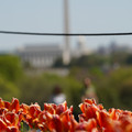 DSC02483.JPG