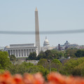 DSC02484.JPG