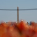 DSC02485.JPG