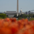 DSC02487.JPG