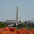 DSC02488.JPG