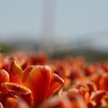 DSC02489.JPG