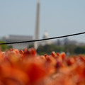 DSC02490.JPG