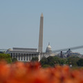 DSC02492.JPG