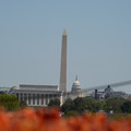 DSC02494.JPG