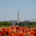 DSC02495.JPG