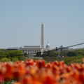 DSC02496.JPG