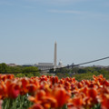 DSC02497.JPG