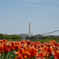 DSC02498.JPG