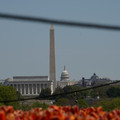 DSC02499.JPG