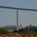 DSC02500.JPG