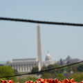 DSC02501.JPG