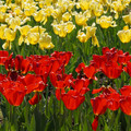 DSC02505.JPG