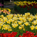 DSC02506.JPG