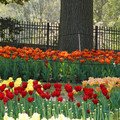 DSC02507.JPG