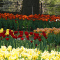 DSC02508.JPG