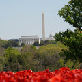 DSC02512.JPG