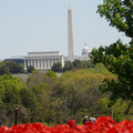DSC02513.JPG