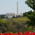 DSC02515.JPG
