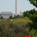 DSC02516.JPG
