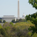DSC02517.JPG