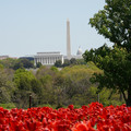 DSC02520.JPG